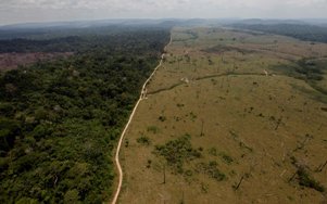 Entre crisis ambiental y diversidad