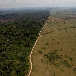 Entre crisis ambiental y diversidad
