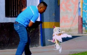 Fotografías de la ciudad. Testimonios de la calle